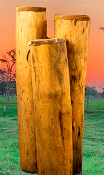 Cumaco Cumaco